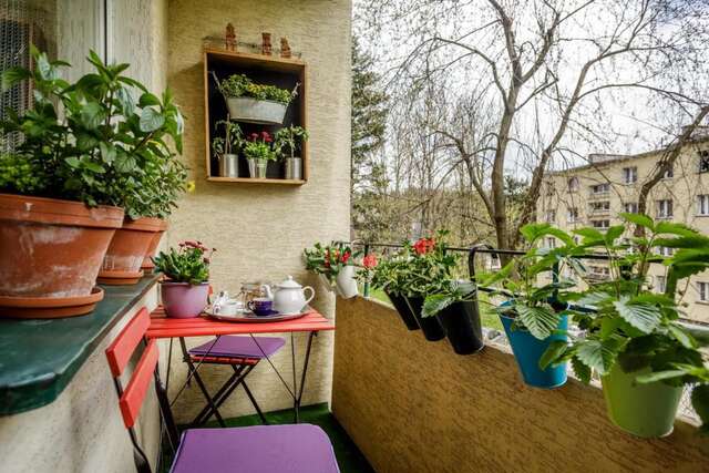 Апартаменты Apartamenty Krupowy Zakopane Закопане-10